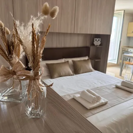 Apartament La Rondine Dami